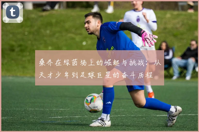 桑乔在绿茵场上的崛起与挑战：从天才少年到足球巨星的奋斗历程